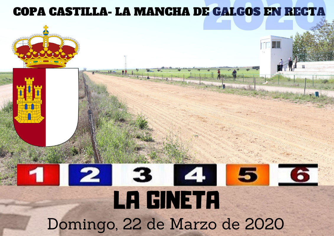 Copa de Castilla-La Mancha de Galgos en Recta